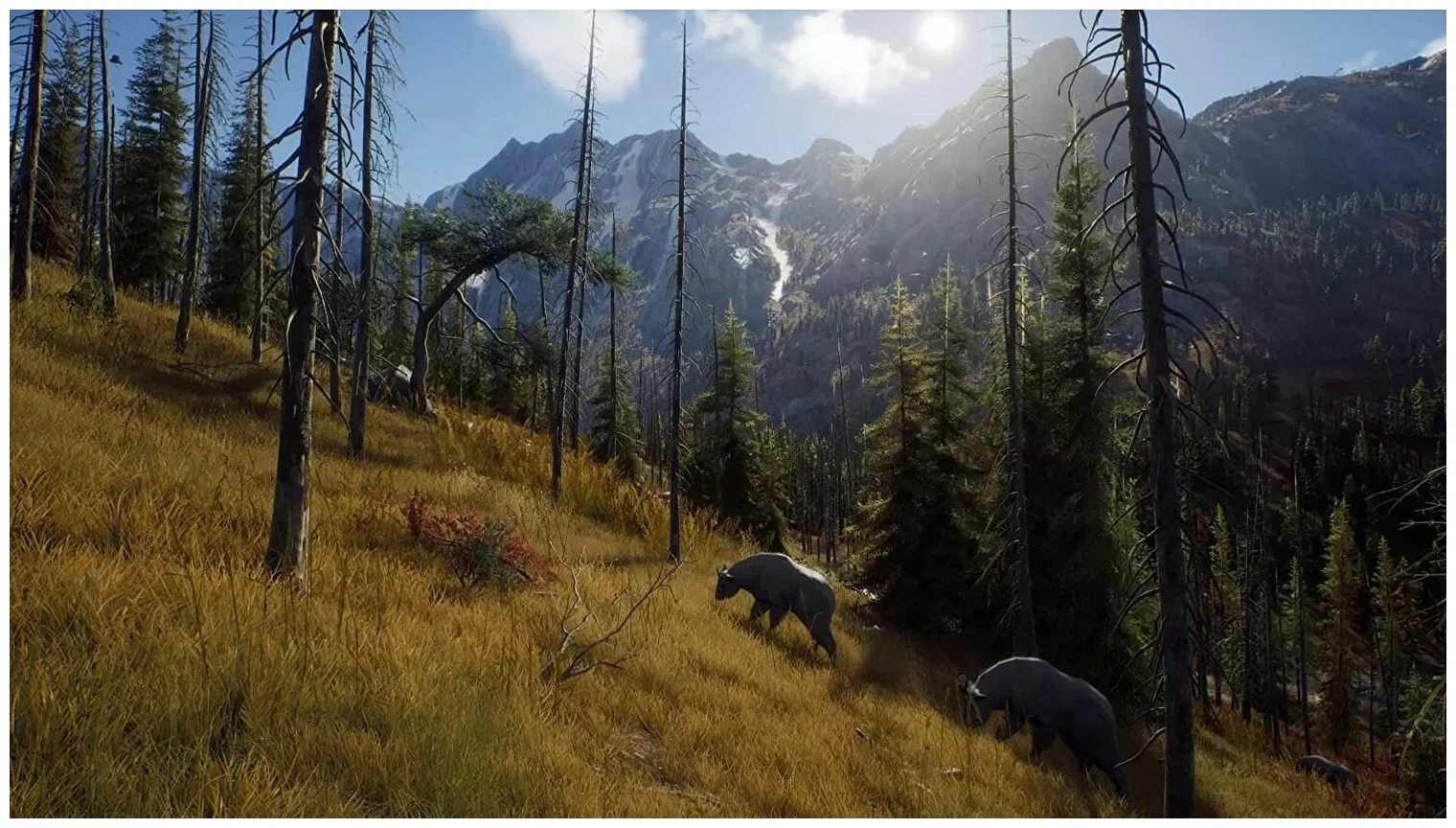 Way of the Hunter PS5, русские субтитры Фото 1