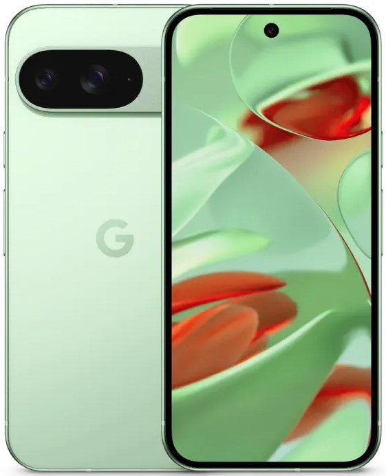 Смартфон Google Pixel 9 12/128 Гб, зеленый Фото 0