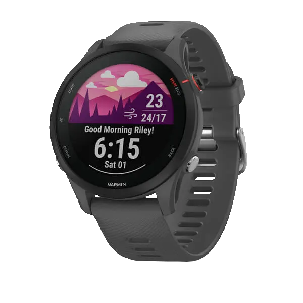 Часы Garmin Forerunner 255 Slate Gray (010-02641-10) Фото 0