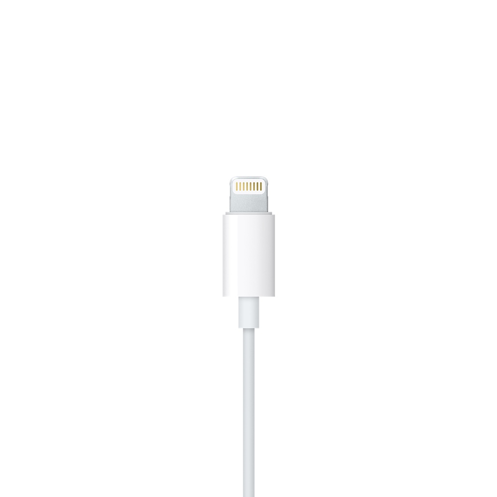 Наушники Apple EarPods с разъёмом Lightning (MMTN2ZM/MWTY3) Фото 4