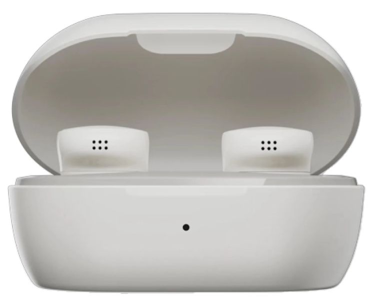 Беспроводные наушники Bose QuietComfort Earbuds 5V, белый (White Smoke) Фото 2