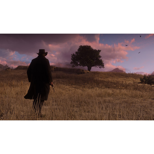 Игра для PlayStation 4 Red Dead Redemption 2 Фото 9