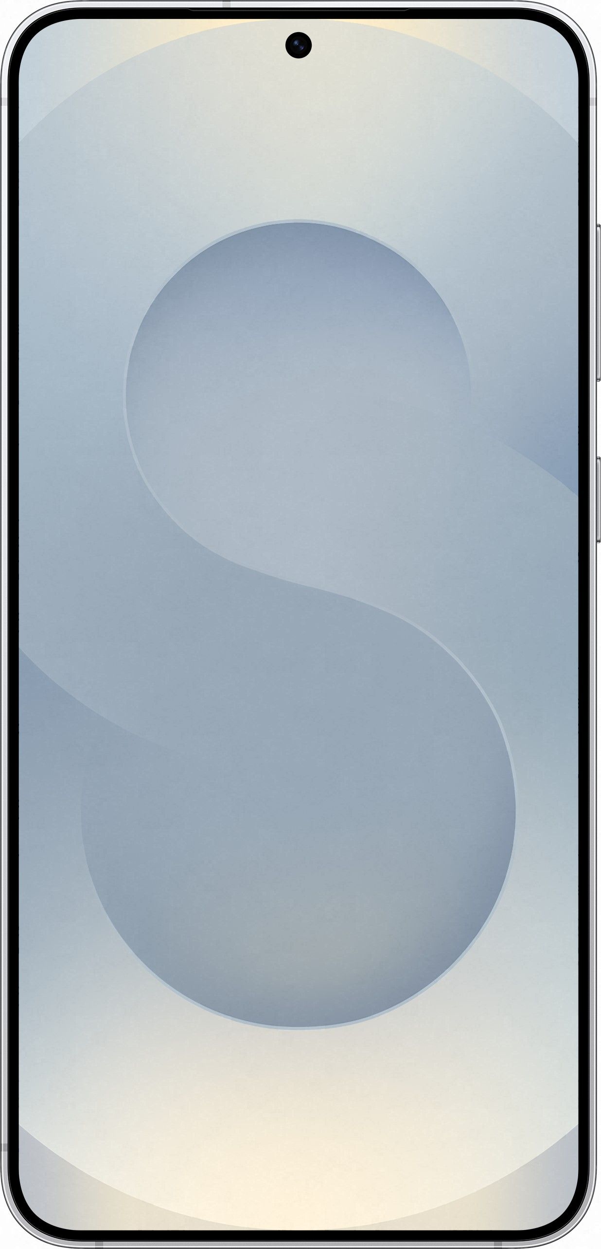 Смартфон Samsung Galaxy S25+ 12/256Гб, серый (SM-S936B) Фото 1