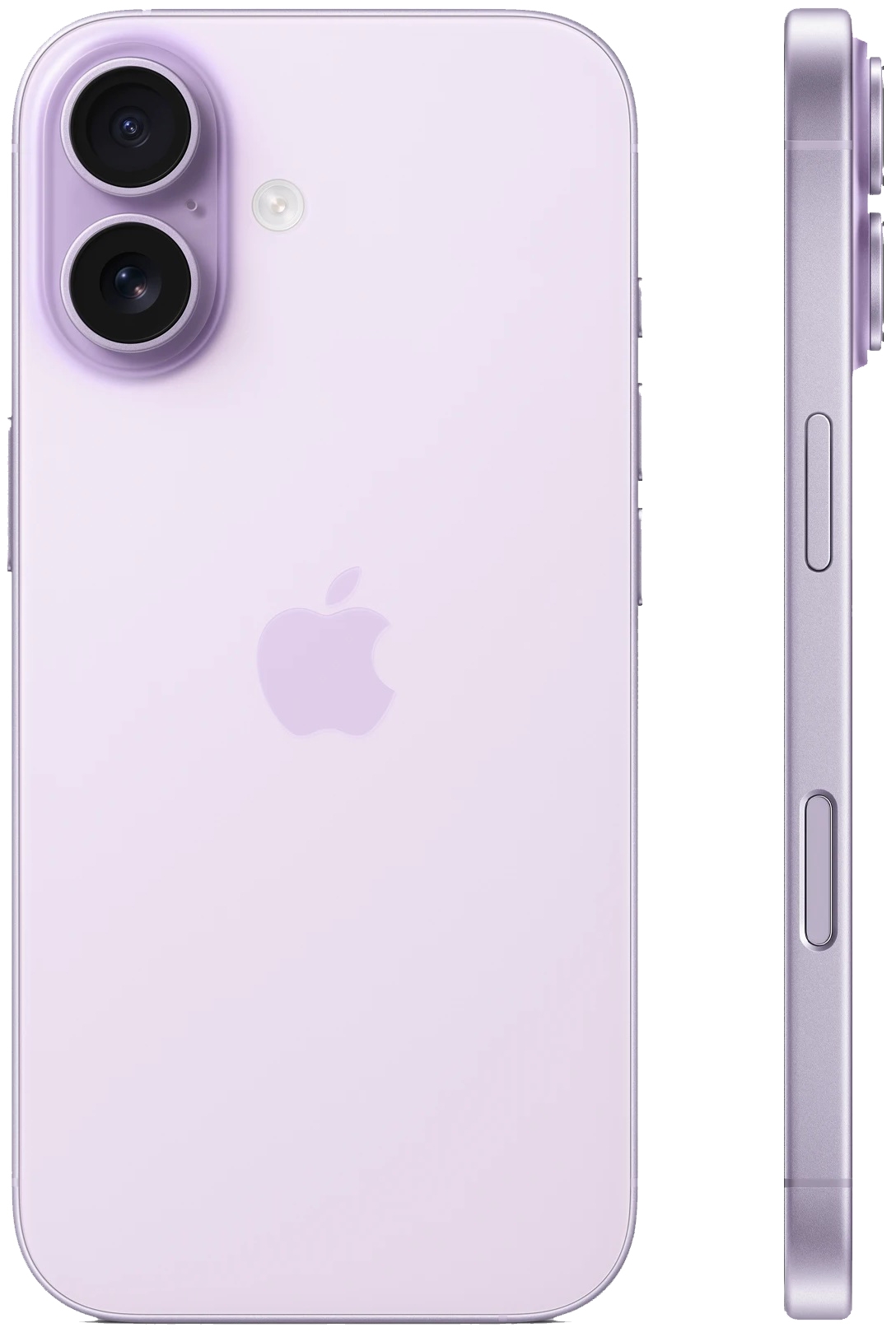 Смартфон Apple iPhone 17 256Гб, Lavender (фиолетовый) Фото 2