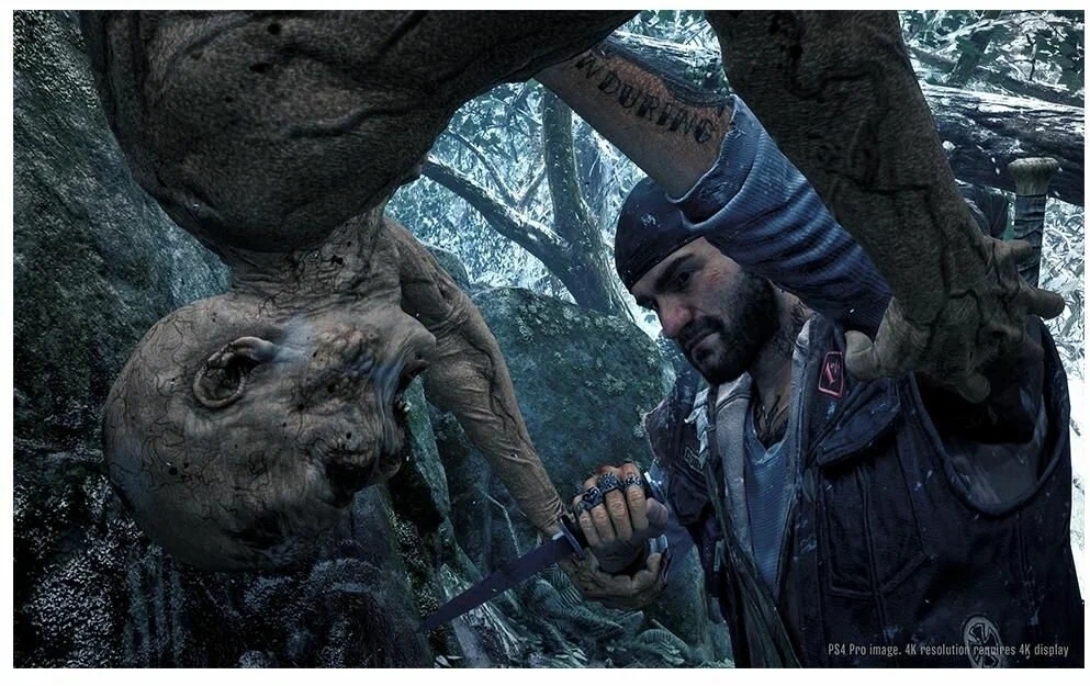 Игра Days Gone для PlayStation 4 Фото 2