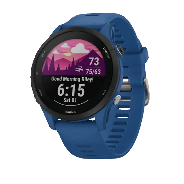 Часы Garmin Forerunner 255  Tidal Blue (010-02641-11) Фото 0