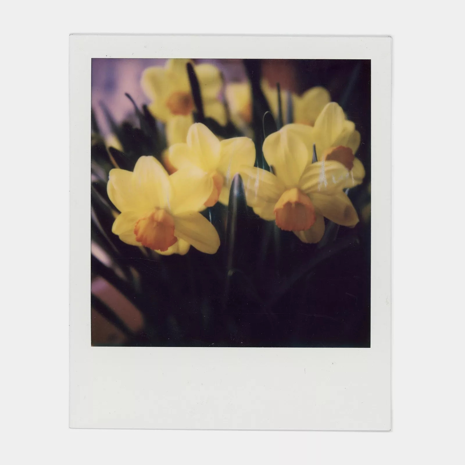Фотобумага Polaroid Color Film for 600 Double Pack, 16 штук_element_detail_photo
