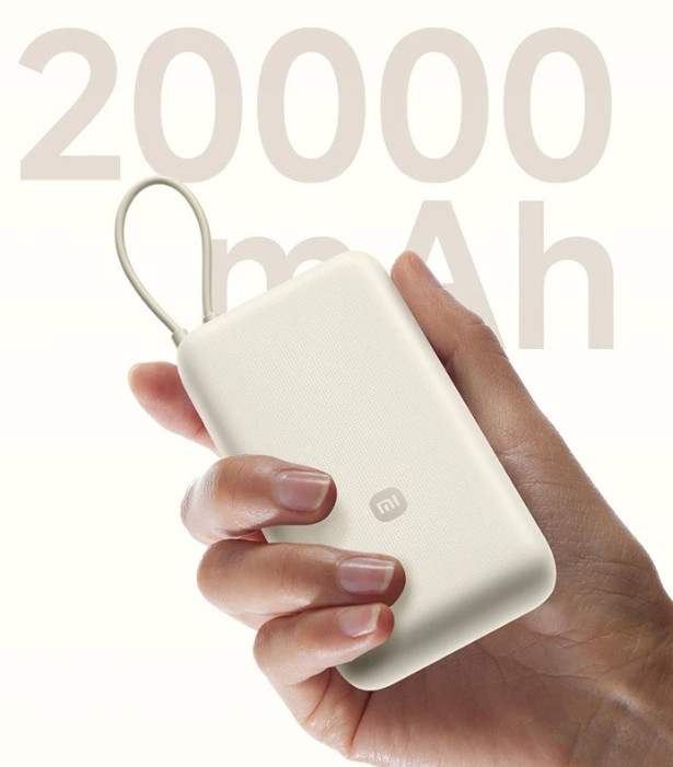 Внешний аккумулятор Xiaomi Mi Power Bank 20000mah 33W (PB2030MI), бежевый Фото 2