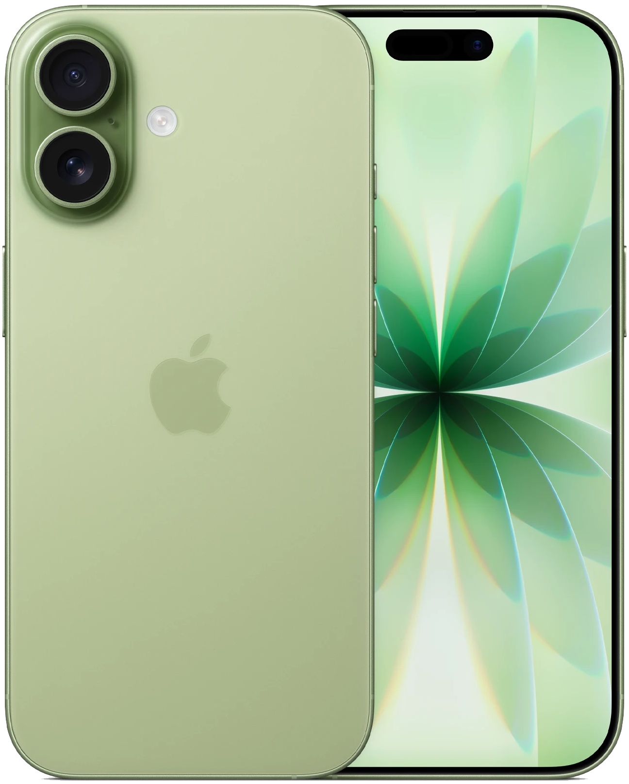 Смартфон Apple iPhone 17 256Гб, Sage (зеленый) Фото 0