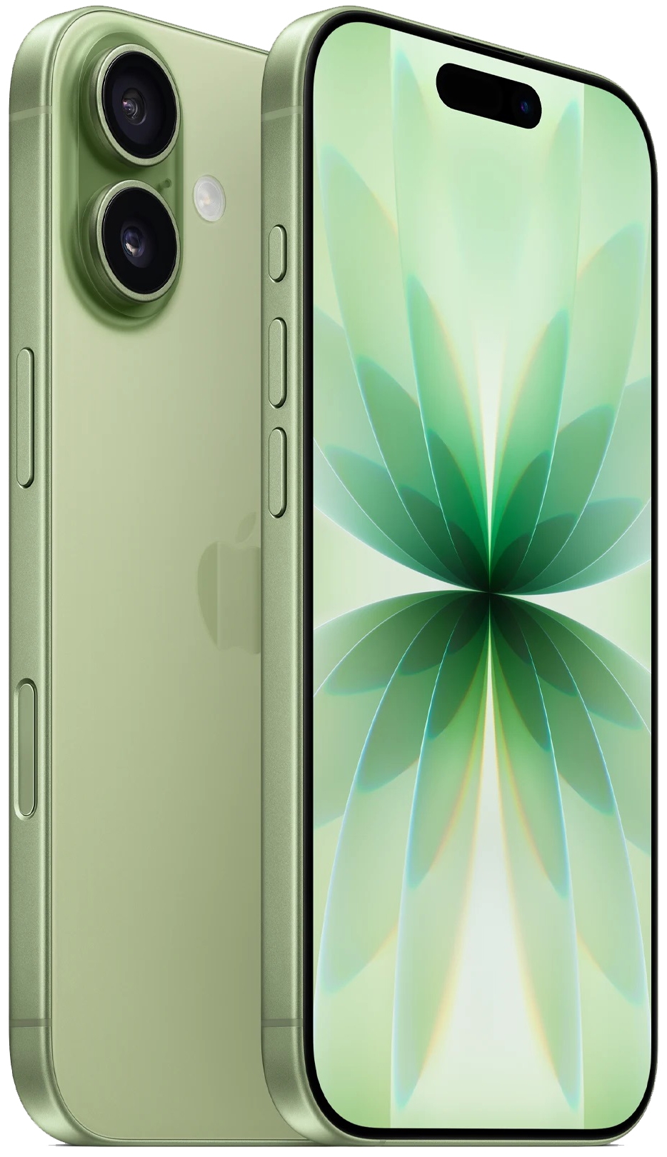 Смартфон Apple iPhone 17 256Гб, Sage (зеленый) Фото 1