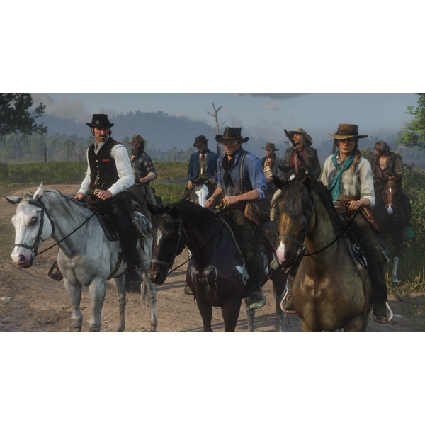 Игра для PlayStation 4 Red Dead Redemption 2 Фото 6