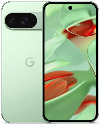 Смартфон Google Pixel 9 12/128 Гб, зеленый Фото 1