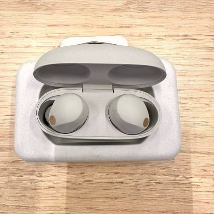 Беспроводные наушники Sony WF-1000XM5, серебро Фото 3