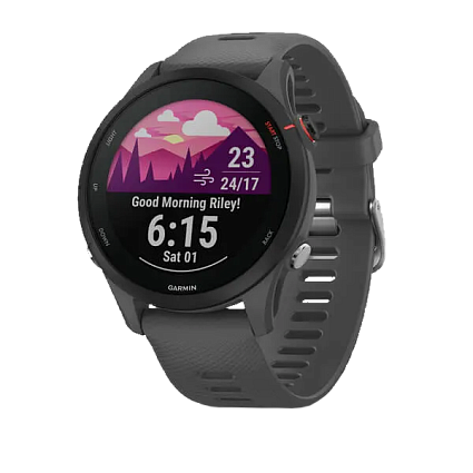 Часы Garmin Forerunner 255 Slate Gray (010-02641-10) Фото 1