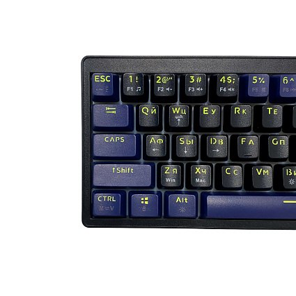 Клавиатура CyberLynx AG 63, черно-фиолетовый Фото 4