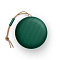 Портативная акустика Bang & Olufsen Beosound A1 2nd Gen, зеленый Фото 2