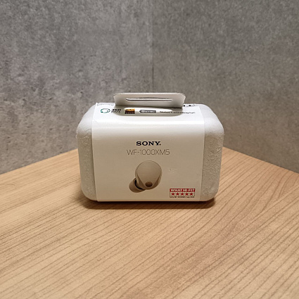 Беспроводные наушники Sony WF-1000XM5, серебро Фото 2