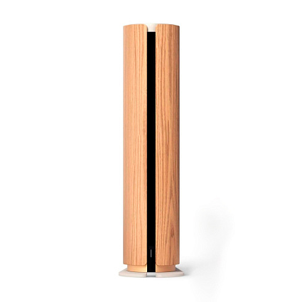 Акустическая система Bang & Olufsen Beosound Emerge, золотой Фото 6