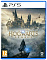 Игра Hogwarts Legacy (Хогвартс. Наследие) для PlayStation 5 Фото 1