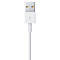 Кабель Apple Lightning/USB (2 м) Фото 2