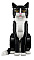 Конструктор LEGO Tuxedo Cat 21349 Фото 3