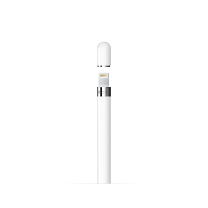 Стилус Apple Pencil (1-го поколения) с адаптером USB-C (MQLY3) Фото 3