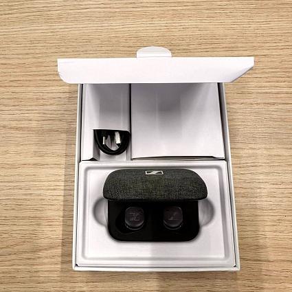 Беспроводные наушники Sennheiser Momentum True Wireless 3, серый Фото 4