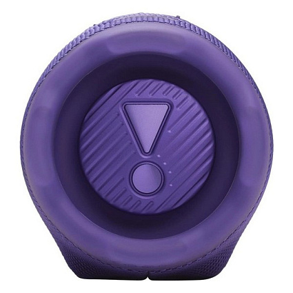 Портативная акустика JBL Charge 6, фиолетовый Фото 5