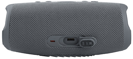 Портативная акустика JBL Charge 5 (Серый) Фото 4